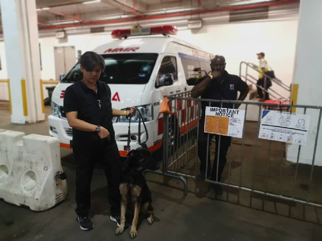 K9 Training Kuala Lumpur